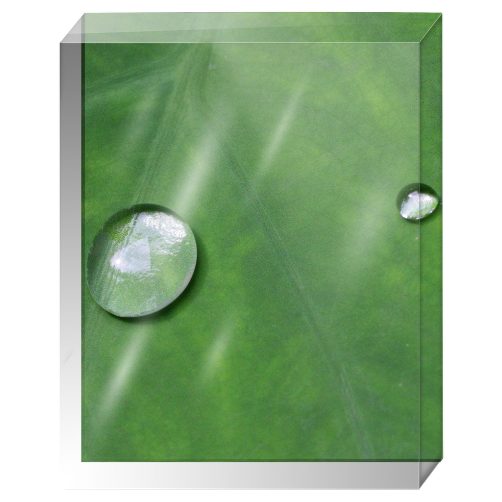 Acrylic Photo Block - Abstract Flora - Leaf Closeup