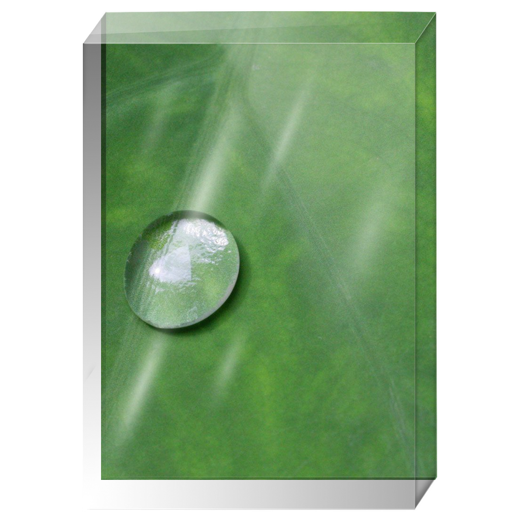 Acrylic Photo Block - Abstract Flora - Leaf Closeup