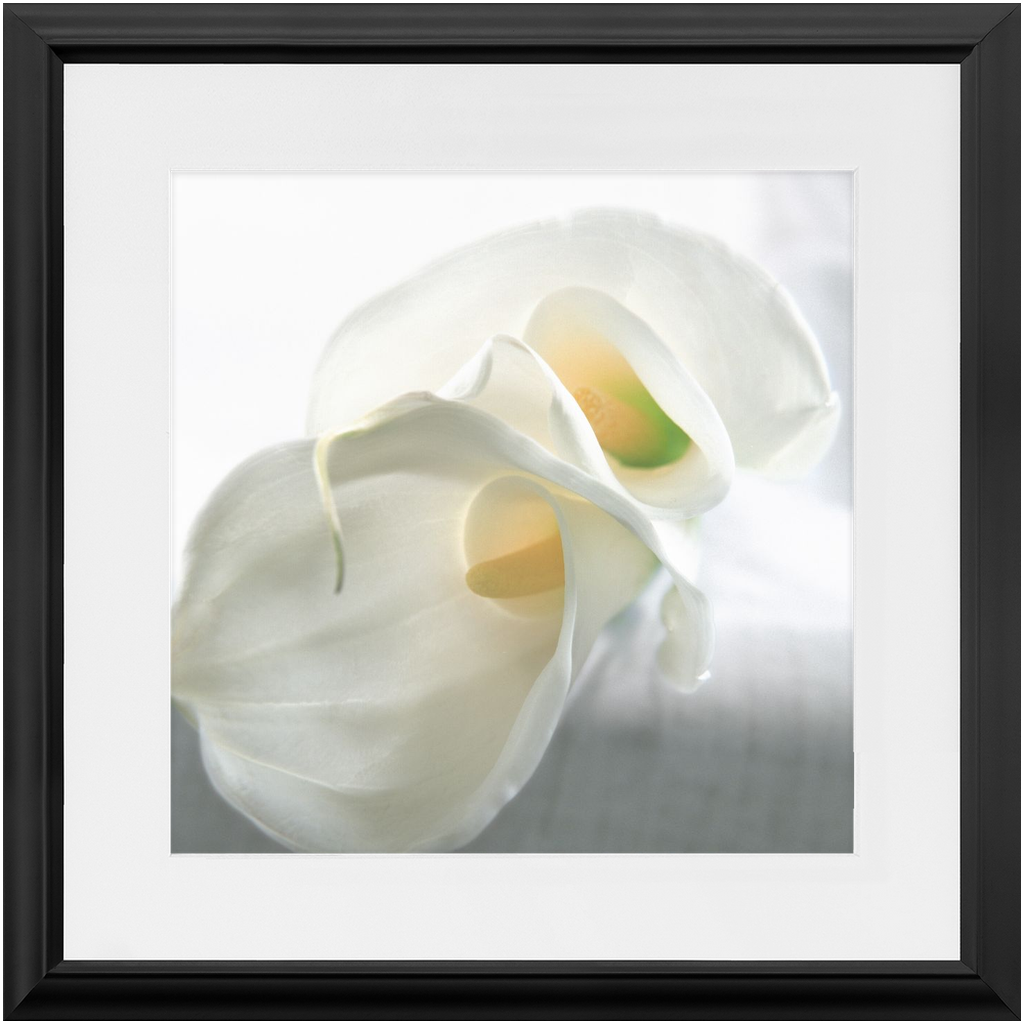 Framed Print - Calla Lilly Abstract 3 - Ready to Hang Art