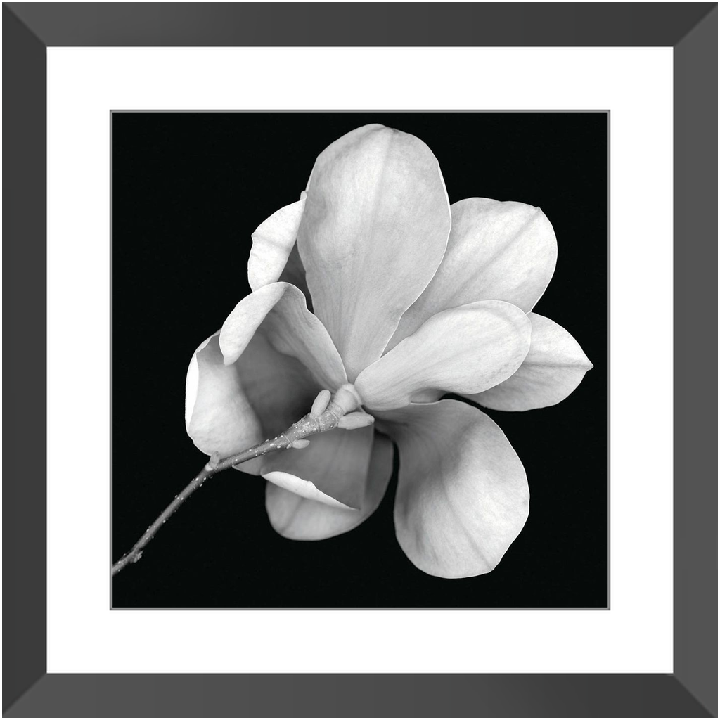 Framed_16x16_Black_Lustre-2023061317055074