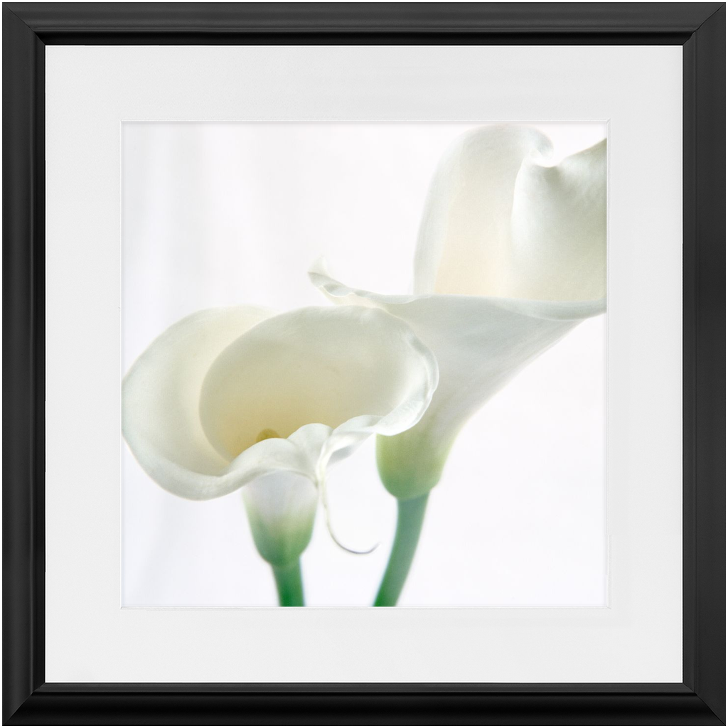 Framed Print - Calla Lilly Abstract 2 - Ready to Hang Art