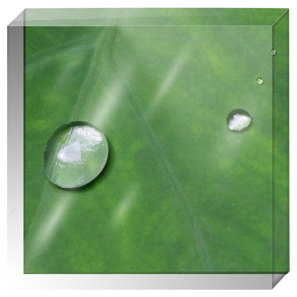 Acrylic Photo Block - Abstract Flora - Leaf Closeup