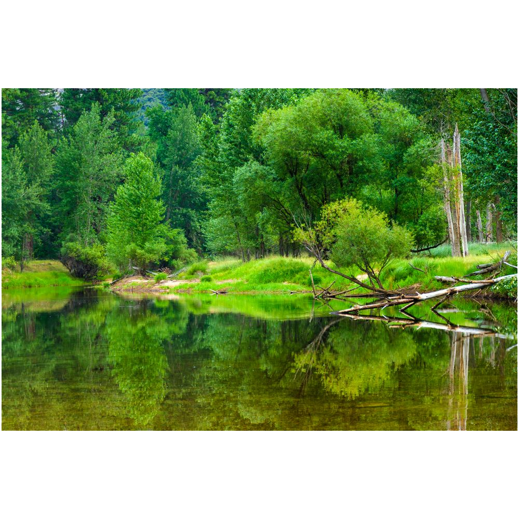 Archival Print -Merced River Reflection, Yosemite, CA, USA