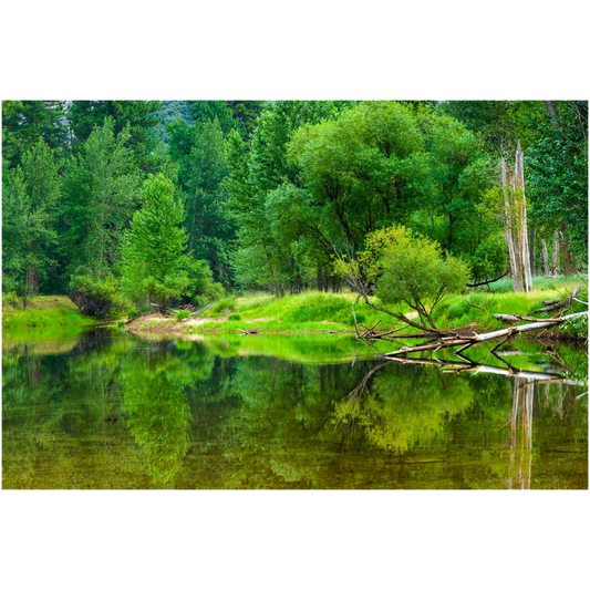 Archival Print -Merced River Reflection, Yosemite, CA, USA