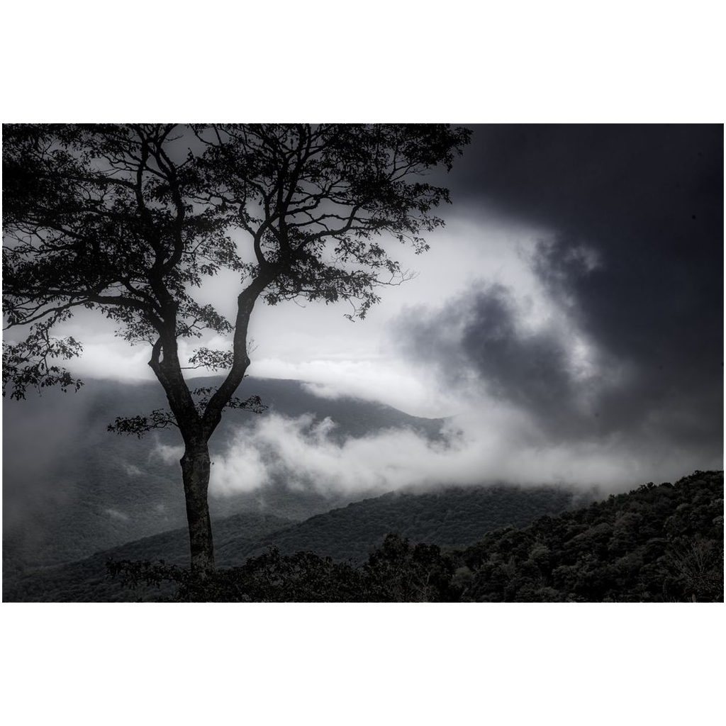 Archival Print - Stormy Sky, Shenandoah National Park, Virginia, USA