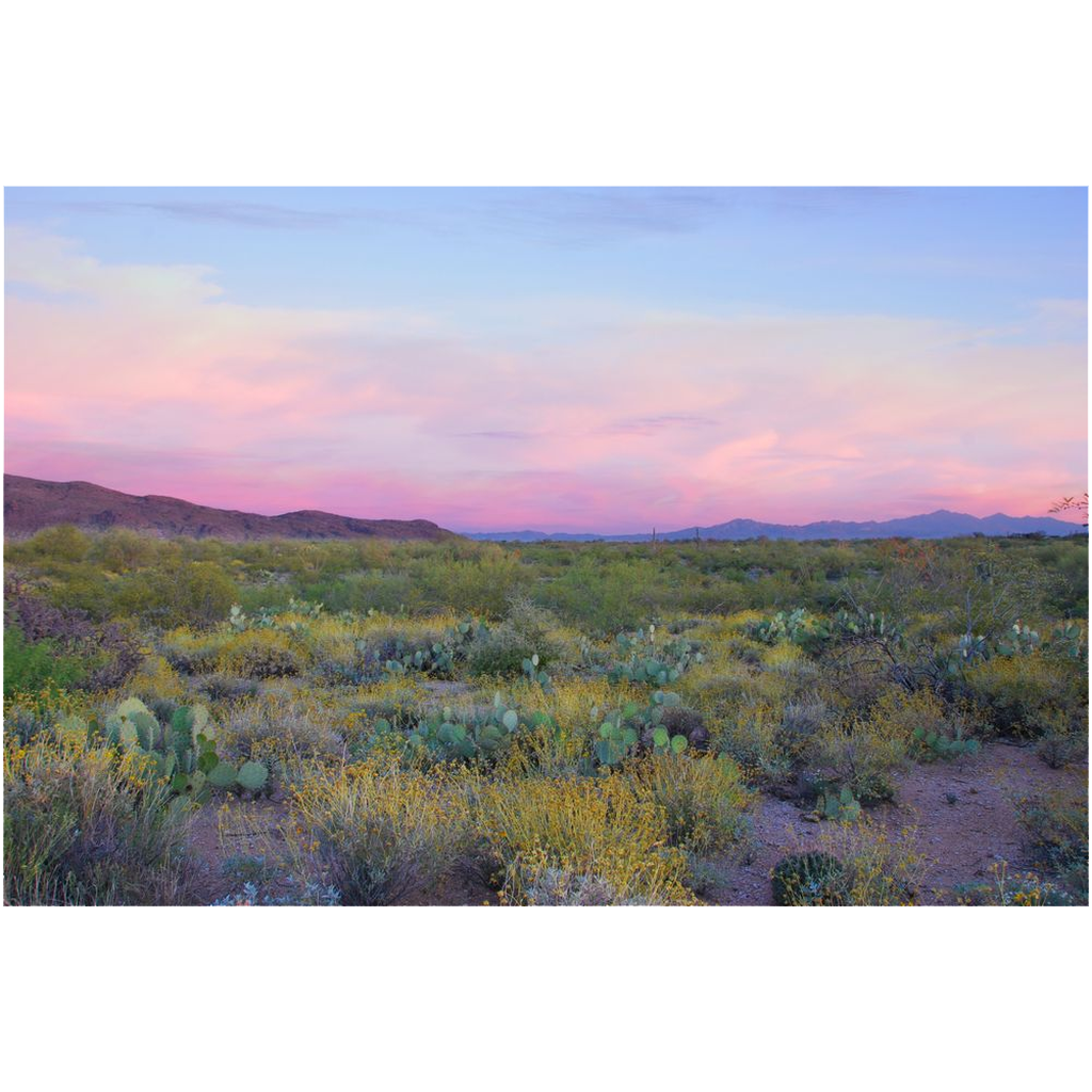 Archival Print - Dusk in the Sonoran Desert, Arizona, USA
