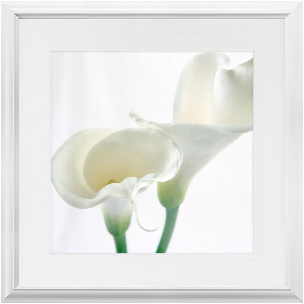 Framed Print - Calla Lilly Abstract 2 - Ready to Hang Art