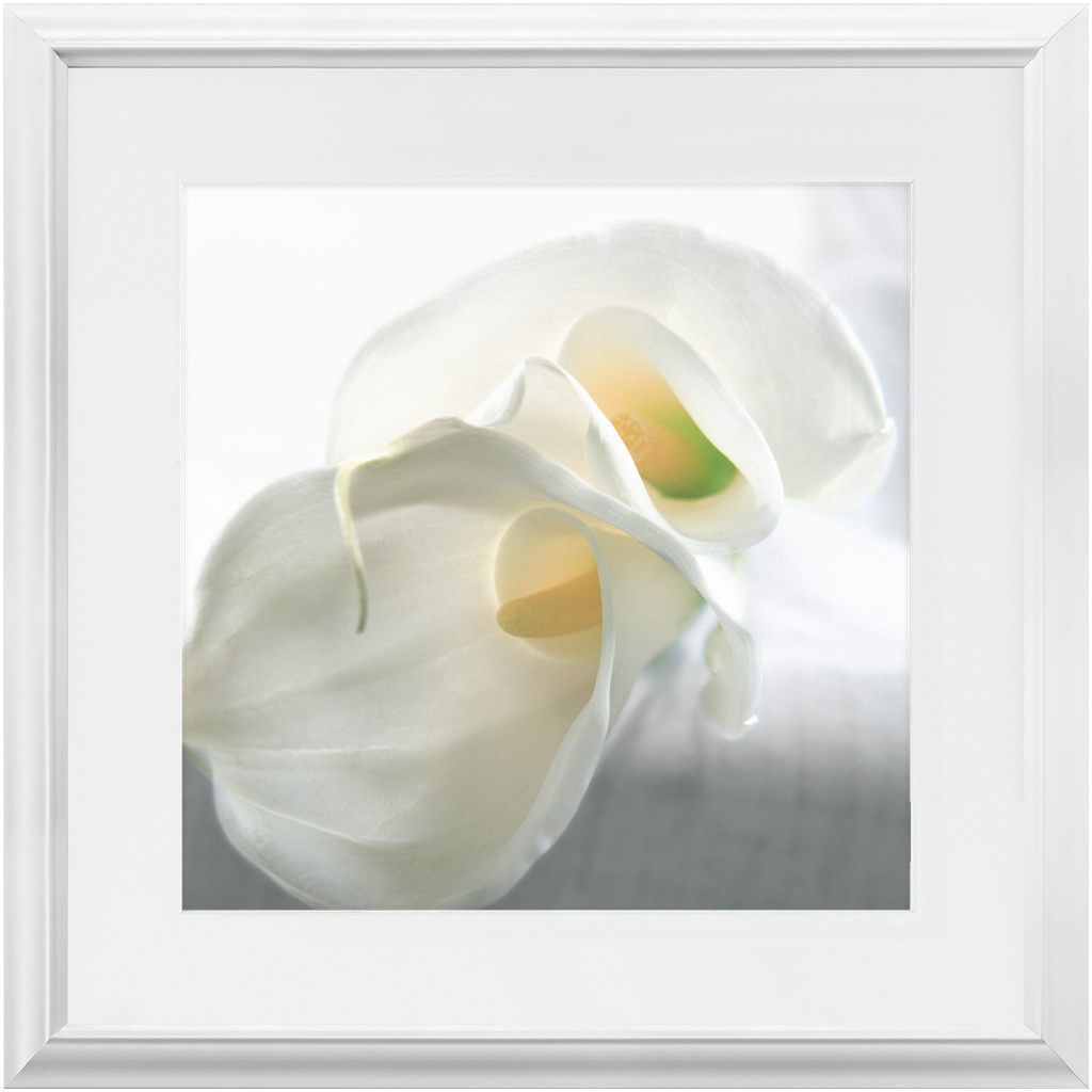 Framed Print - Calla Lilly Abstract 3 - Ready to Hang Art