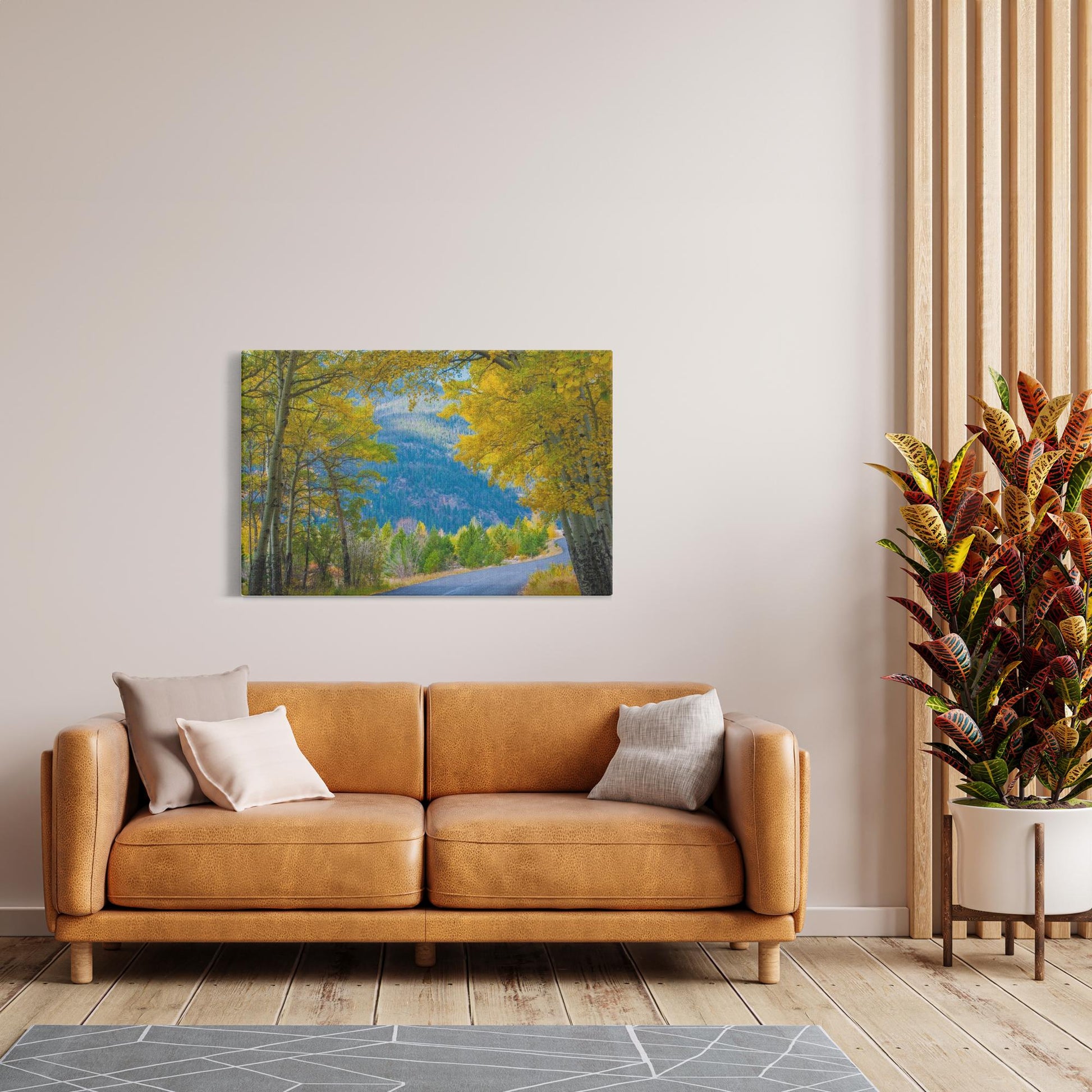 CanvsWrp-BlkWrp-32x48-20230525214152393