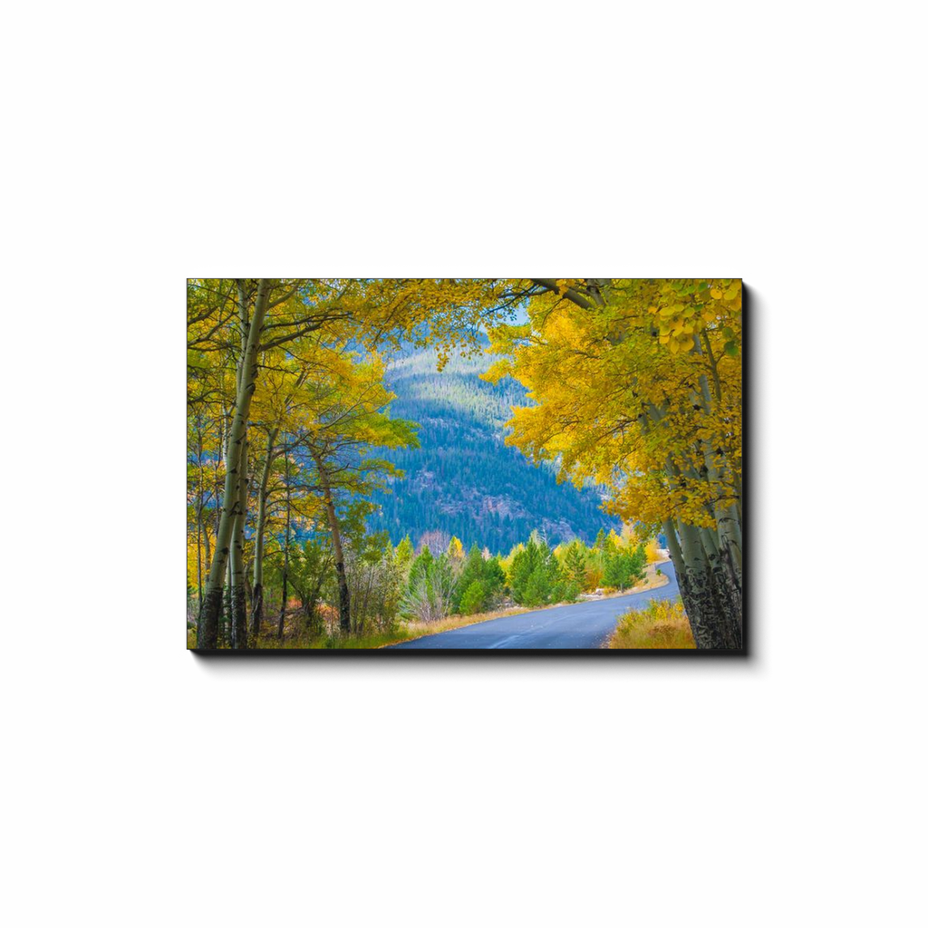 generated-proPreview-3