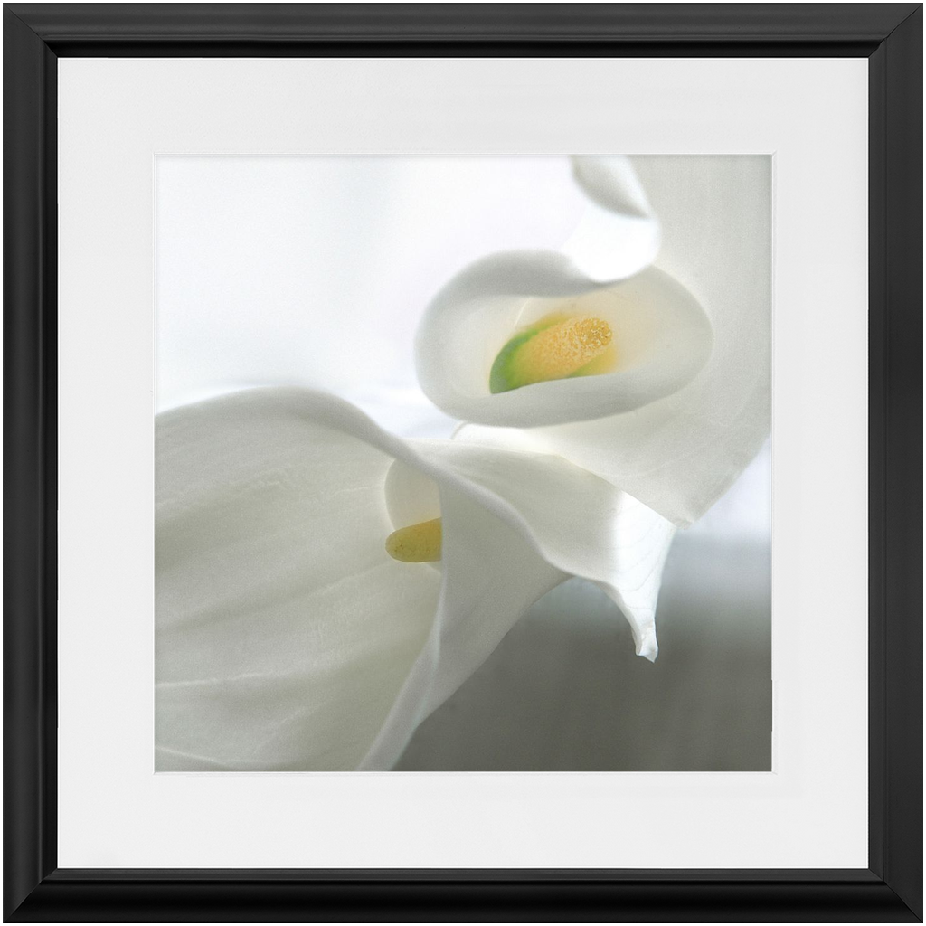 Framed Print - Calla Lilly Abstract - Ready to Hang Art