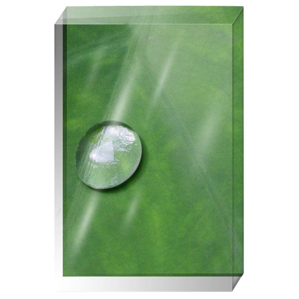 Acrylic Photo Block - Abstract Flora - Leaf Closeup