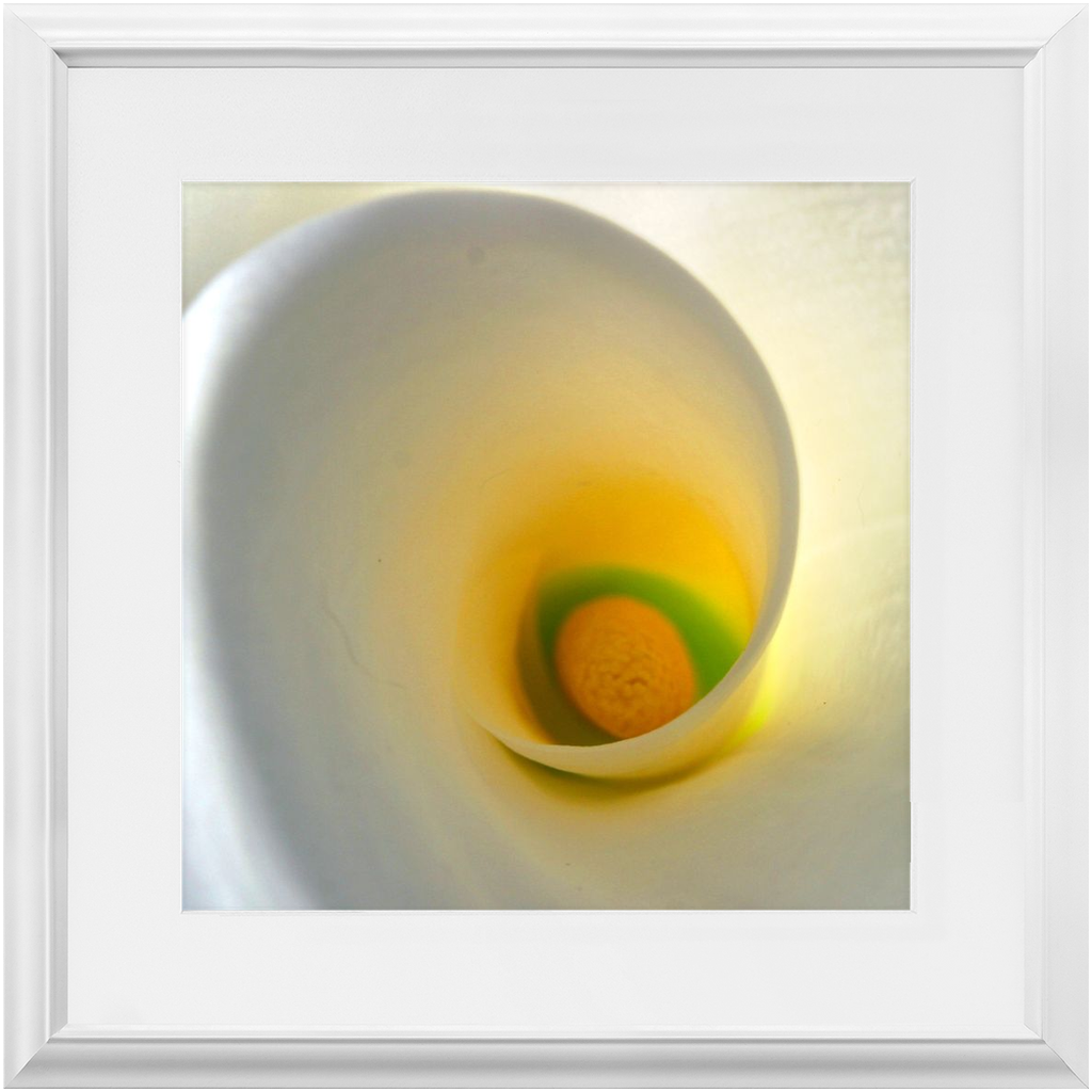 Framed Print - White Calla Lilly - Ready To Hang Art