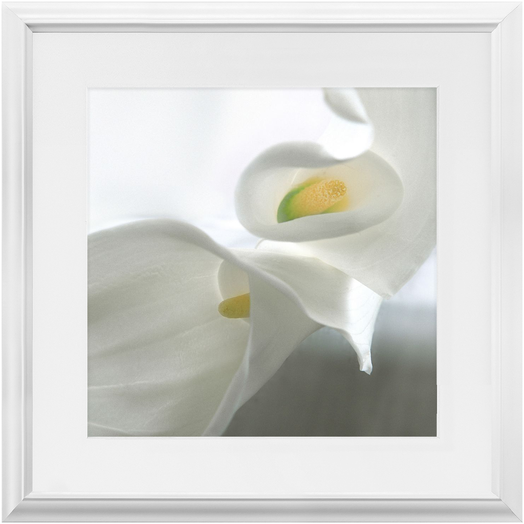 Framed Print - Calla Lilly Abstract - Ready to Hang Art