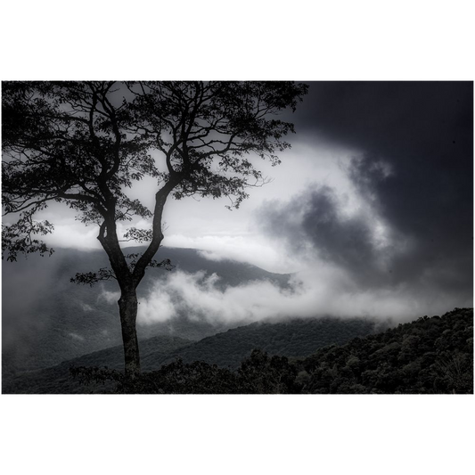 Archival Print - Stormy Sky, Shenandoah National Park, Virginia, USA