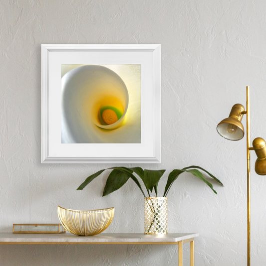 Framed Print - White Calla Lilly - Ready To Hang Art