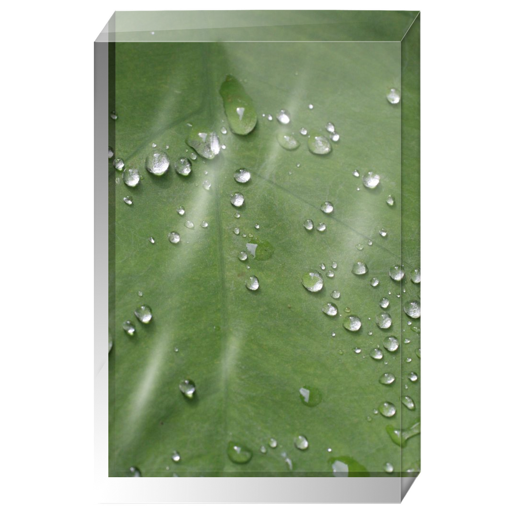 Acrylic Photo Block - Abstract Flora - Dew on Leaf Closeup