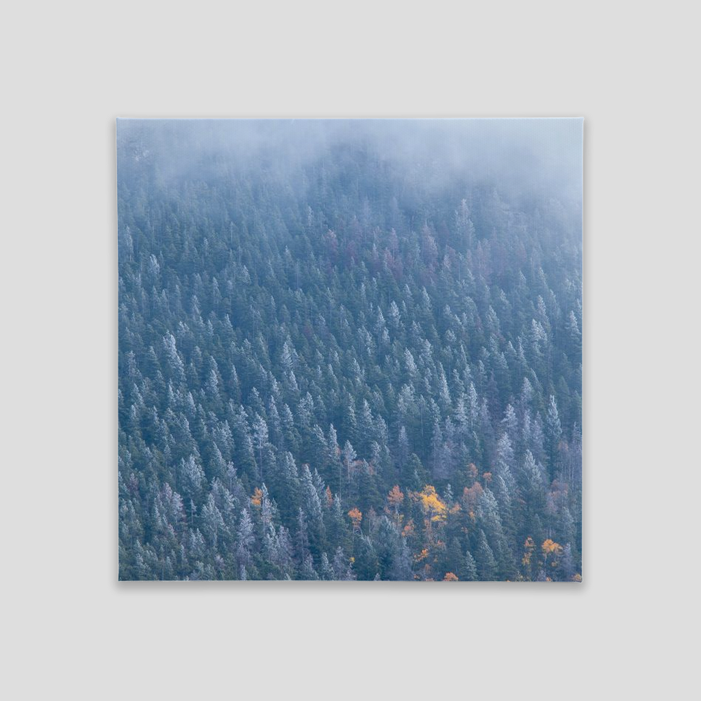 Canvas Tile - 8x8 - full gallery wrap - Colorado Fog