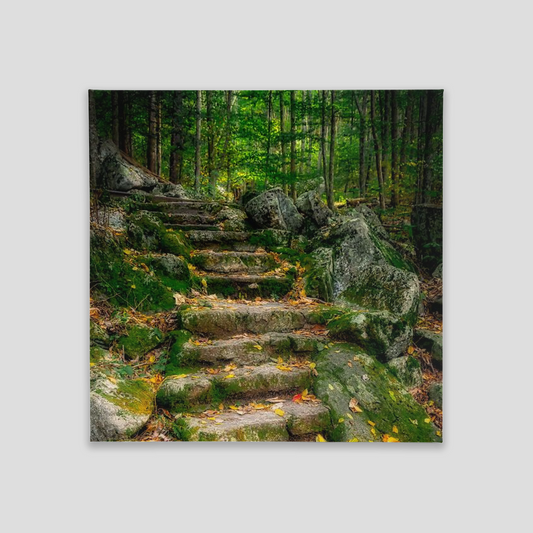 Canvas Tile - 8x8 - full gallery wrap - Shenandoah National Park, Virginia