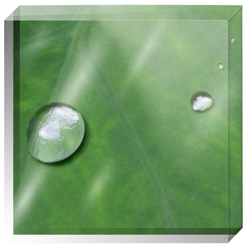 Acrylic Photo Block - Abstract Flora - Leaf Closeup