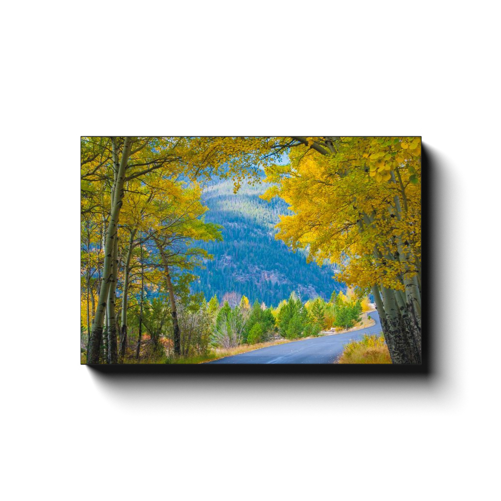 Canvas - Stretched and ready to hang - Cottonwood Pass, Rocky Mountains, Colorado